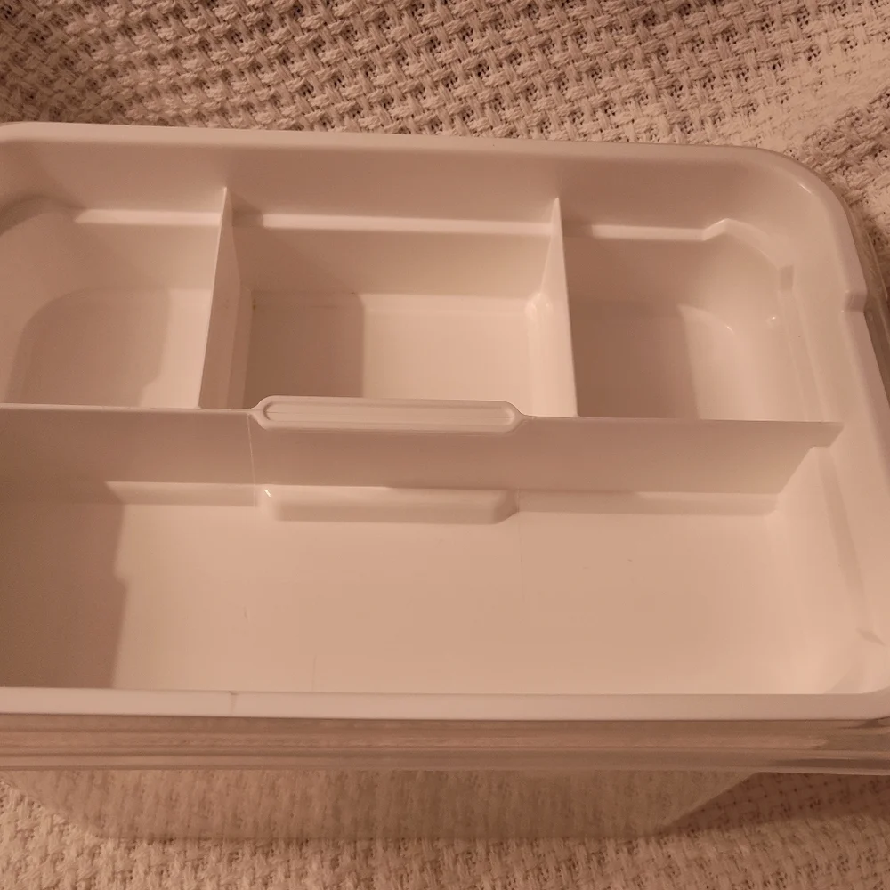 NWOT! Plastic Organizer Case
